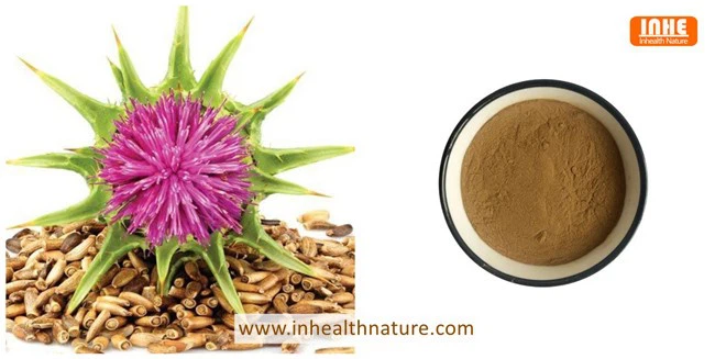 Water Soluble Milk Thistle and Its Extract Powder