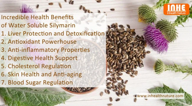 Incredible Health Benefits of Water Soluble Silymarin