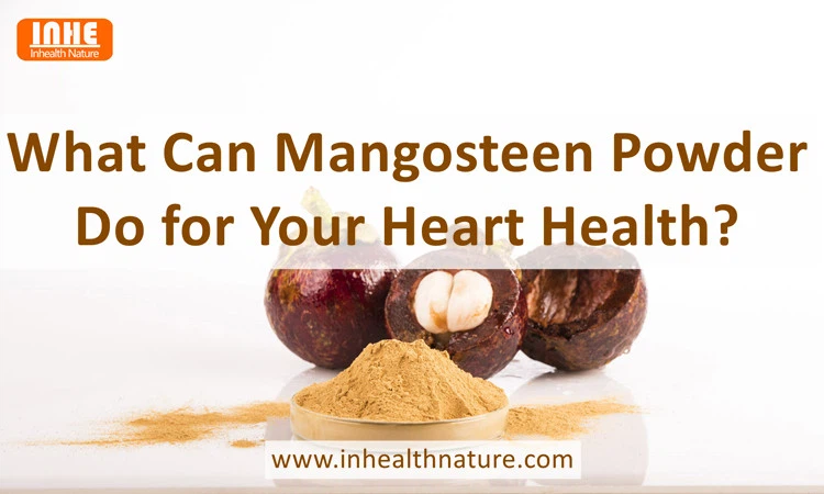 What Can Mangosteen Powder Do for Your Heart Health